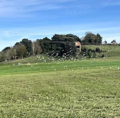 Casa vacanze Casa Acogedora Y Reformada Junto Al Mar Cantabrico Bárcena de Cicero