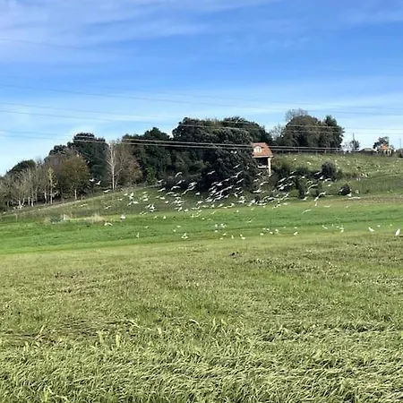 別荘 Casa Acogedora Y Reformada Junto Al Mar Cantabrico Bárcena de Cicero